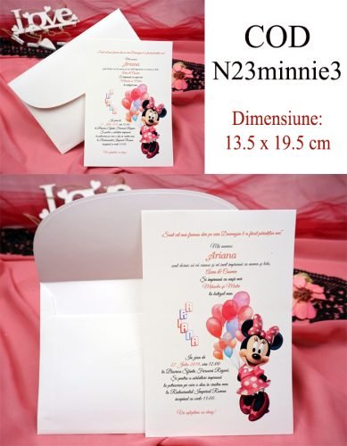 N23minnie3