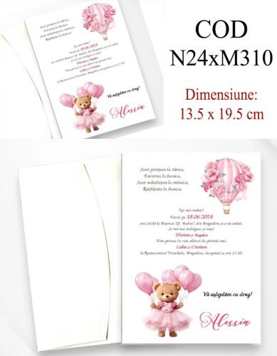 N24xM310