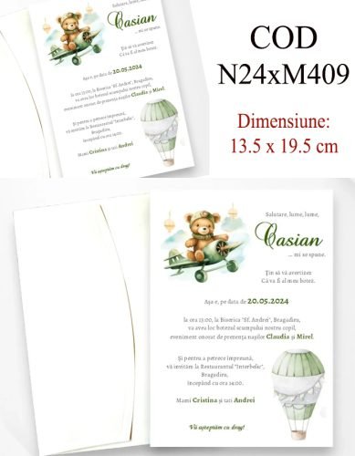 N24xM409