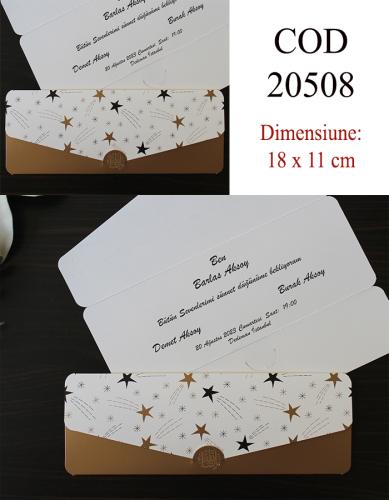 20508