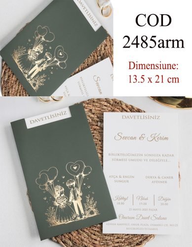 2485arm