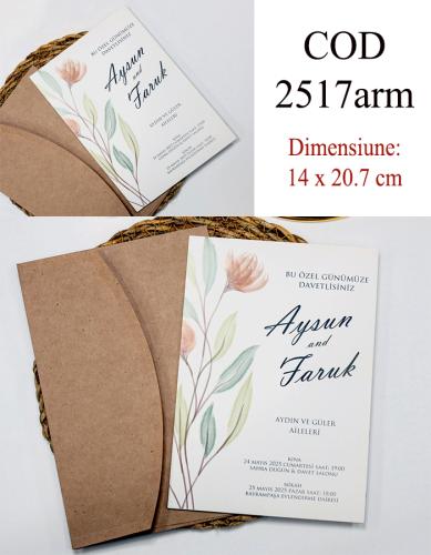 2517arm
