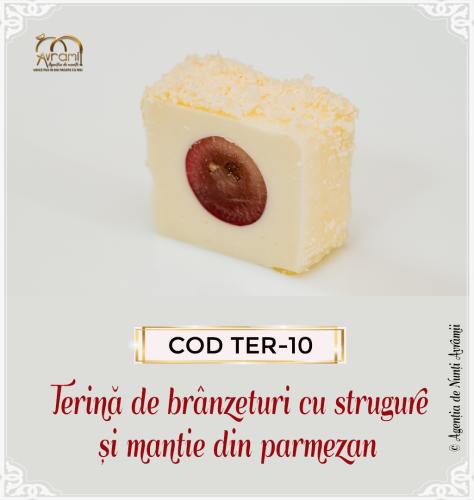 TER-10